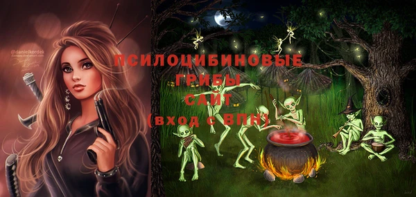 бошки Арсеньев