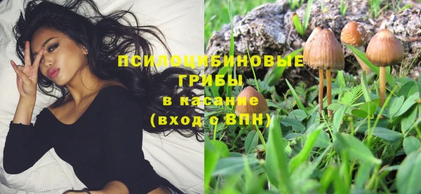 гашик Армянск