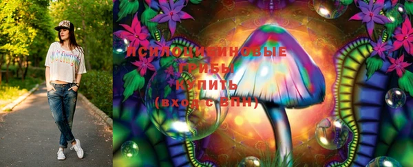 MESCALINE Аркадак